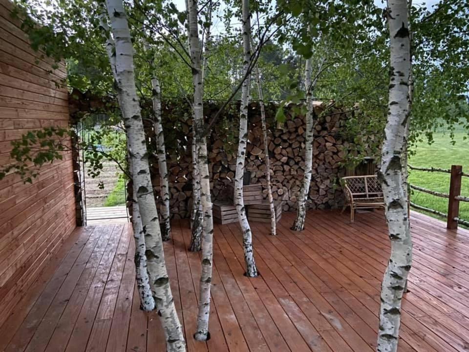 Domek Na Uboczu Gryfów Śląski Exterior foto
